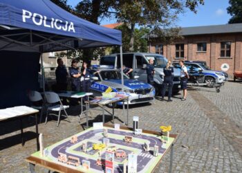 Wielkie manewry z udziałem służb ratowniczych