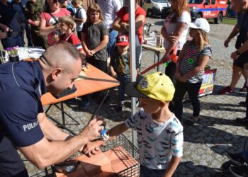 Wielkie manewry z udziałem służb ratowniczych