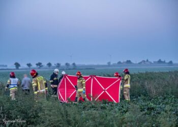 Tragiczny wypadek na drodze krajowej