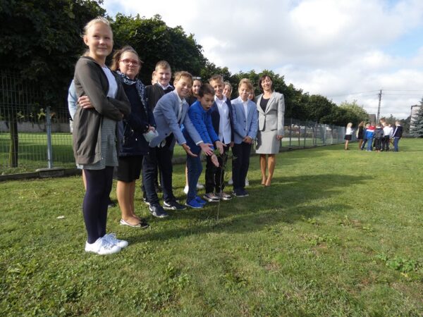 Dęby 605-lecia Krotoszyna