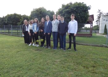 Dęby 605-lecia Krotoszyna