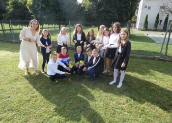 Dęby 605-lecia Krotoszyna