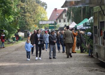 Wielkie święto milickich lasów