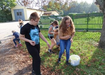 Kasztany dla hospicjum