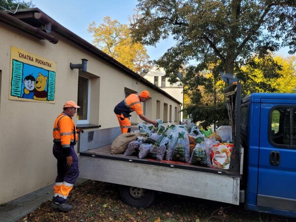 Zebrali dla hospicjum mnóstwo kasztanów