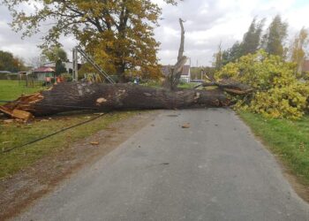 Strażacy mieli mnóstwo pracy