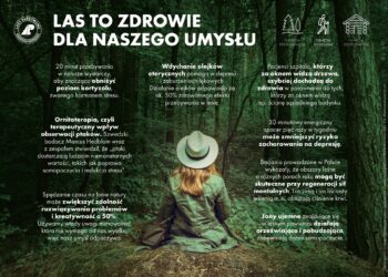 Doświadczaj lasu wszystkimi zmysłami
