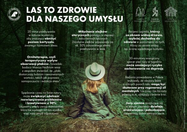 Doświadczaj lasu wszystkimi zmysłami