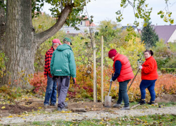 Posadzili 50 drzew miododajnych