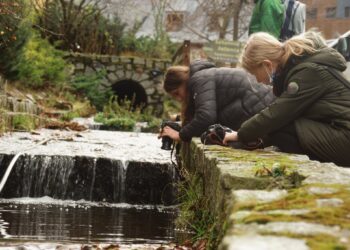 Kopalnia w obiektywie