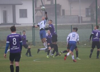 Cenny remis Białego Orła