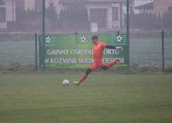 Cenny remis Białego Orła