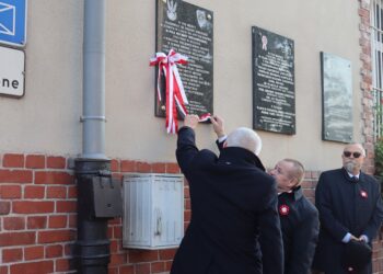 Obchody Narodowego Święta Niepodległości w powiecie