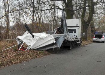 Bus uderzył w drzewo