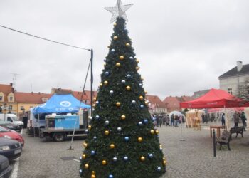 Bożonarodzeniowy jarmark z aspektem charytatywnym