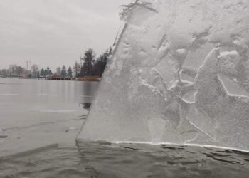 Świętowali piąte urodziny