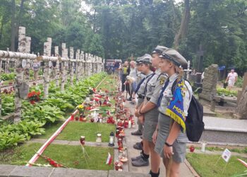 Uczą dojrzałości i odpowiedzialności w życiu codziennym