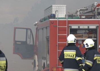 Strażacy interweniowali