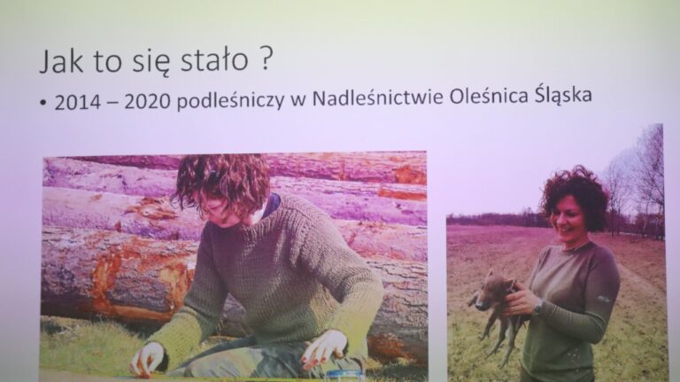 O lesie może opowiadać bez końca