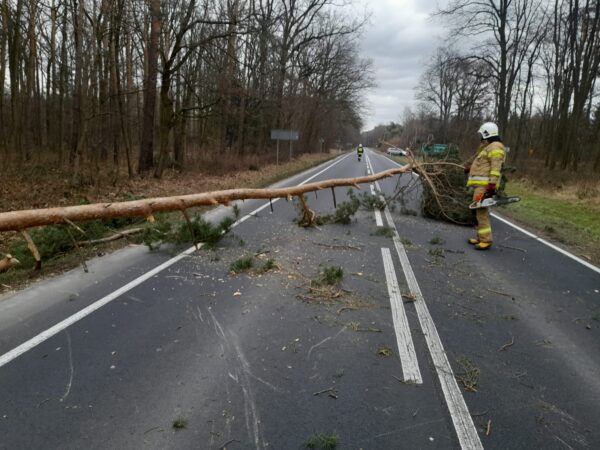 Kolejny dzień z silnym wiatrem