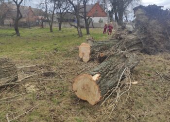 Kolejny dzień z silnym wiatrem