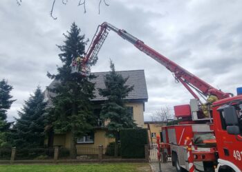 Kolejny dzień z silnym wiatrem