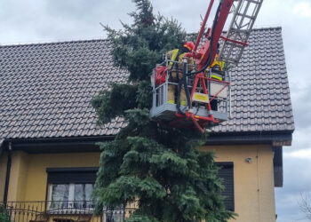 Kolejny dzień z silnym wiatrem