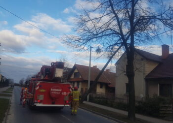 Kolejny dzień z silnym wiatrem