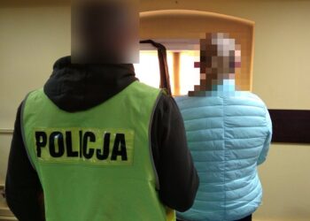 Odpowie za kradzież piły spalinowej