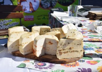 Rekreacyjnie i charytatywnie