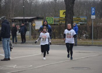 Pobiegli wilczym tropem