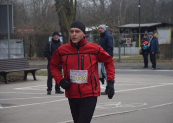 Pobiegli wilczym tropem