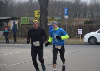 Pobiegli wilczym tropem