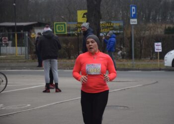 Pobiegli wilczym tropem