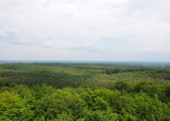 Bądźmy odpowiedzialni w lesie!
