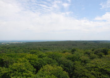 Bądźmy odpowiedzialni w lesie!