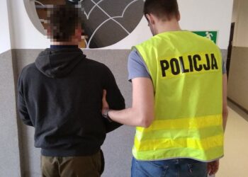 Odpowie za kradzieże