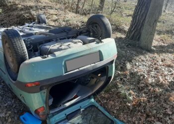 Dachowanie skutkiem nieostrożności