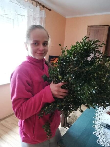 Rozstrzygnięcie świątecznego konkursu