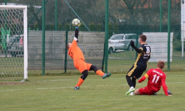 Zefka rozjechała koźmińskie Orły