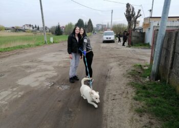 Sprzątanie dla Polski