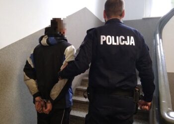 Kolejny poszukiwany trafił do aresztu