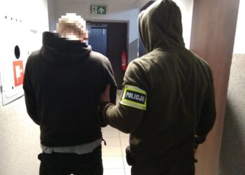 Kradli metalowe przedmioty na terenie Sułowa