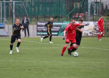 Zefka rozjechała koźmińskie Orły