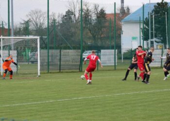 Zefka rozjechała koźmińskie Orły