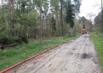 Strażacy ćwiczyli w lesie