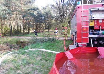 Strażacy ćwiczyli w lesie