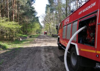 Strażacy ćwiczyli w lesie