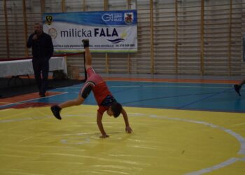 Lokalni sportowcy uhonorowani za swoje osiągnięcia