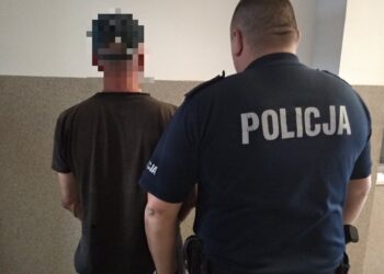 Kolejne zatrzymania poszukiwanych osób